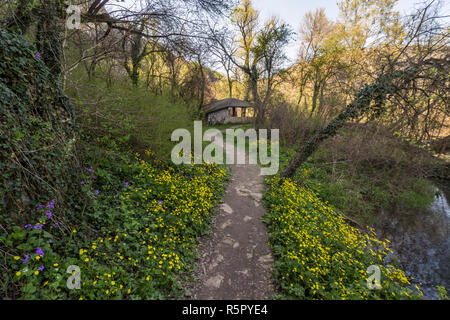 Fairy tale like footpath with flowers going to a small gazebo in the forest. Stock Photo