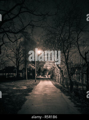 Alley lit by a single street light with bars blocking the way Stock ...