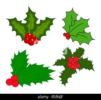 Holly berry, Christmas leaves and fruits icon, symbol, design. Winter vector illustration isolated on white background. Stock Photo