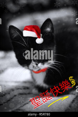 Cute little black with white Christmas kitten. A funny kitten with santa hat. Greeting card with a cute kitten and Christmas Chinese message - ????! Stock Photo