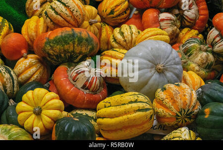 A Variety of Pumpkins at Oxford Indoor Market, Oxfordshire, England Stock Photo