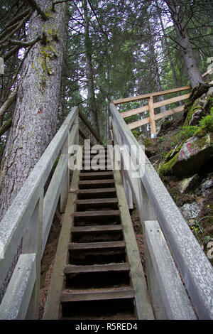 fastened walkway made of wood in wild nature without persons in the styria in the day Stock Photo