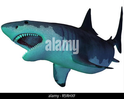 Megalodon Shark Underwater Stock Photo