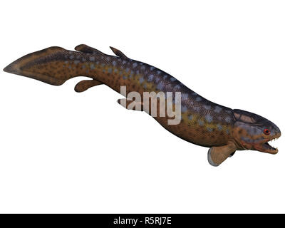 Rhizodus Fish on White Stock Photo