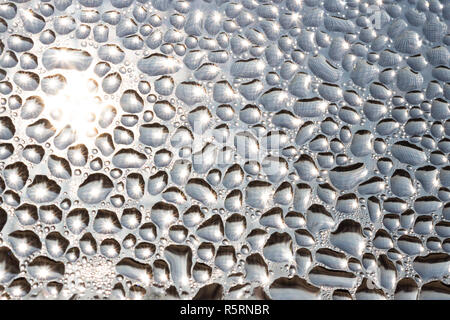 Water condensation drops on window glass surface backlit by sun, mosquito net reflected in drops Stock Photo