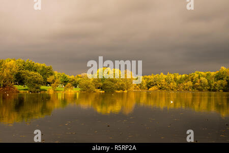 Beautiful autmn scenery with trees lake reflections in a park / beautiful autumn colours / Colorfull season / Landscape image in Wales Stock Photo