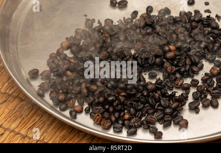 freshly roasted robusta coffee beans on pan in village of Bogodi, Uganda, Africa Stock Photo