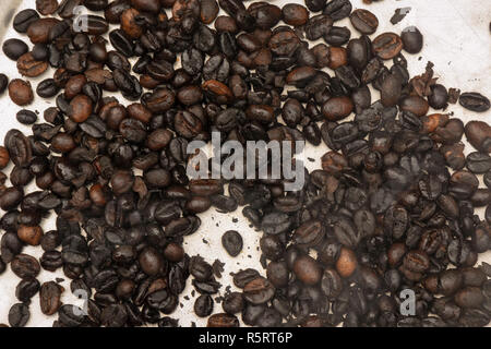freshly roasted robusta coffee beans on pan in village of Bogodi, Uganda, Africa Stock Photo
