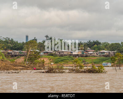 Village on bank of the Amazon river and floating trees during the low water season. Amazonia. Jungle on the border of Brazil and Peru. South America. Stock Photo