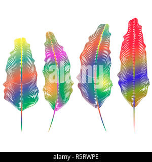 Set of Different Colorful Feathers Stock Photo