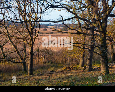 RSPB Minsmere Suffolk UK Stock Photo