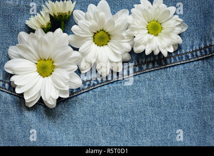 Blue denim fabric with flowers for background Stock Photo