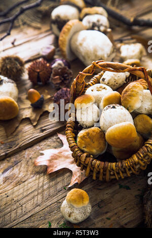 Mushrooms on wood Stock Photo