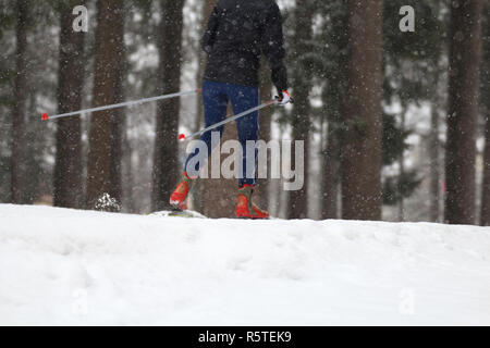 Particular of Cross-country skiing classic technique practiced by woman Stock Photo