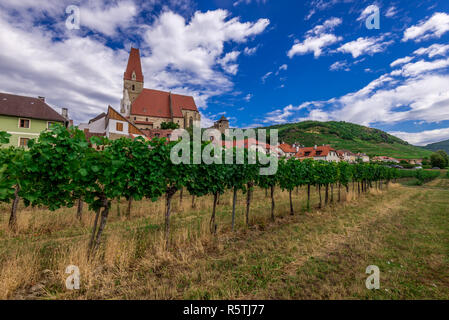 Aerial view of Weissenkirchen beautiful village with wineries in the Wachau region along the Danube in Austria with medieval fortified Roman Catholic Stock Photo