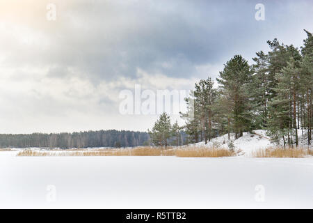 Winter landscape with pine forest and frozen lake. Frost on pines in cold bright sunny day.