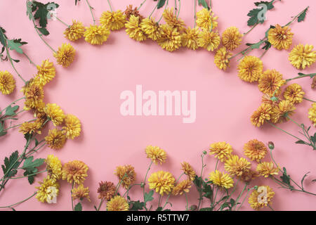 Golden-daisy flowers as border for text on pastel pink background. Copy space. Floral pattern. Stock Photo