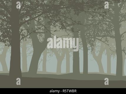 Realistic illustration of a deciduous deep forest with trees and with mist gray sky - vector Stock Vector