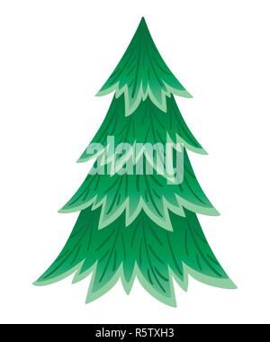 Green spruce tree. Evergreen flat style. Christmas tree without decorations. Vector illustration isolated on white background. Stock Vector