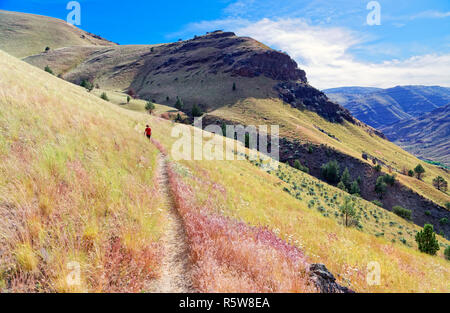 42,891.03382 woman hiking arid high desert hillside prairie, Blue Basin Trail, John Day Fossil Beds National Monument, Sheep Creek Unit, Dayville, Ore Stock Photo