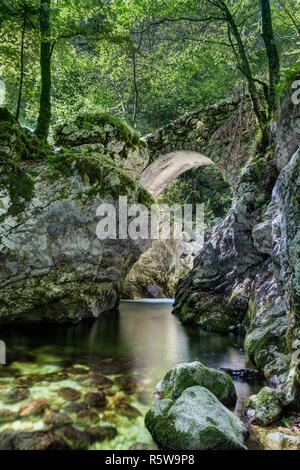 Savica running through the forest, bridge Stock Photo