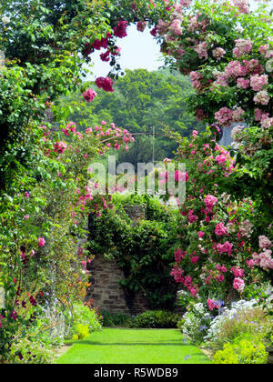 Herbaceous long border in full flower at Dyffryn Gardens, St Nicholas, Vale of Glamorgan, South Wales, UK Stock Photo