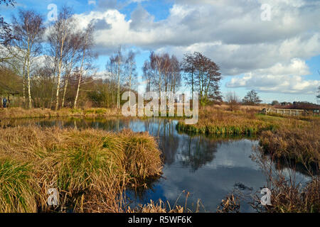 Winter scene at the WWT London Wetland Centre, Queen Elizabeth's Walk SW13. February. Stock Photo