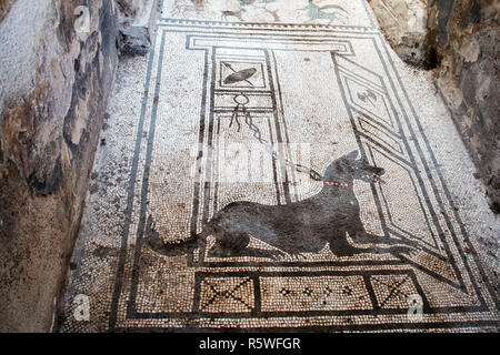 AT POMPEI - ON 06/22/ 2017 - Mosaic representing a dog in the   ancient roman town of Pompeii, destroyed by vesuvius eruption in 70 d.c. Stock Photo