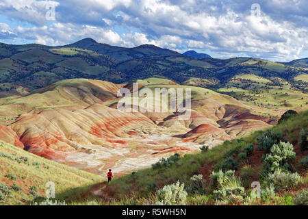 42,887.03113 woman hiking arid high desert Painted Hills valley, yellow & red sandy rolling hills, sagebrush, distant scattered conifer trees, Oregon Stock Photo