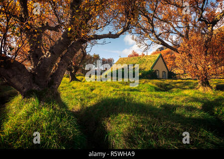 The Hofskirkja Church in Hof, Iceland is surrounded by trees displaying their yellow and orange fall colors. Stock Photo