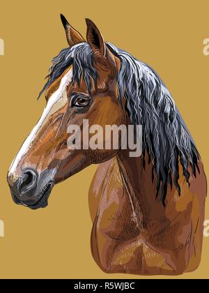 Colorful hand drawing portrait of bay horse. Horse head  in profile isolated vector hand drawing illustration on mustard background Stock Vector