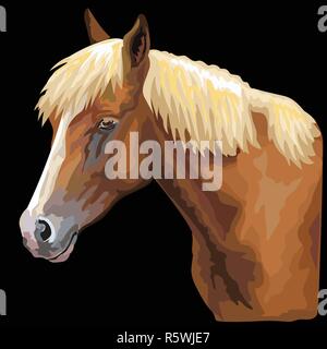 Colorful portrait of horse. Horse head  in profile isolated vector hand drawing illustration on black background Stock Vector