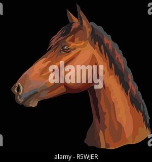 Colorful portrait of bay horse. Horse head  in profile isolated vector hand drawing illustration on black background Stock Vector