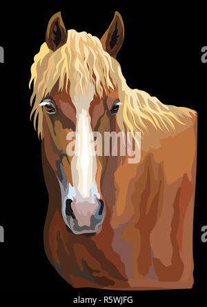 Colorful portrait of  horse. Horse head  isolated vector hand drawing illustration on black background Stock Vector