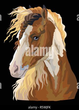 Colorful portrait of Pinto horse. Horse head in profile isolated vector hand drawing illustration on black background Stock Vector