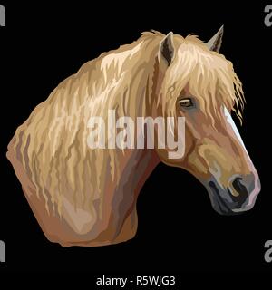 Colorful portrait of Russian Heavy Draft horse. Horse head  in profile isolated vector hand drawing illustration on black background Stock Vector