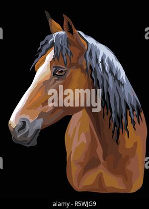 Colorful portrait of bay horse. Horse head  in profile isolated vector hand drawing illustration on black background Stock Vector