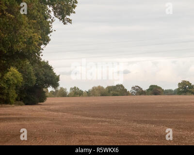 uk brown farm field overcast day birds farming ploughed industry agriculture Stock Photo