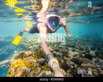 man snorkel in shallow water on coral fish Stock Photo