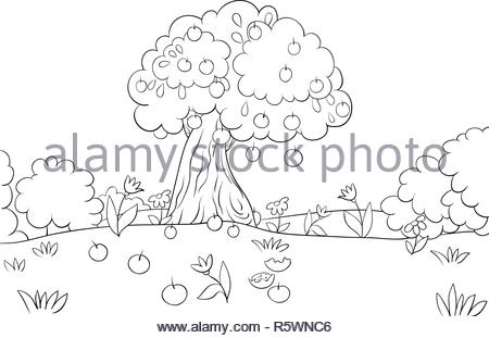 apple tree cartoon for coloring book stock vector art