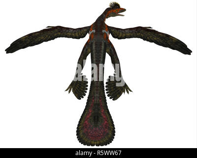 Microraptor Profile on White Stock Photo