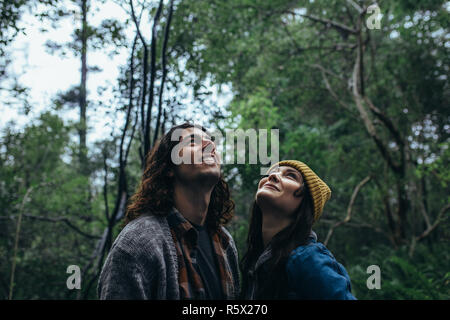 Young couple standing together and  looking up at the trees. Young man standing with his girlfriend in a forest, both looking up and smiling. Stock Photo