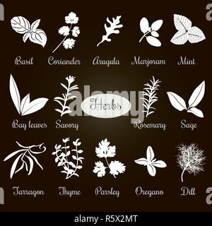 Big set of simple flat culinary herbs. White Silhouettes Stock Photo