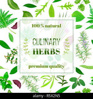 Cooking herbs seamless pattern vector set Stock Photo