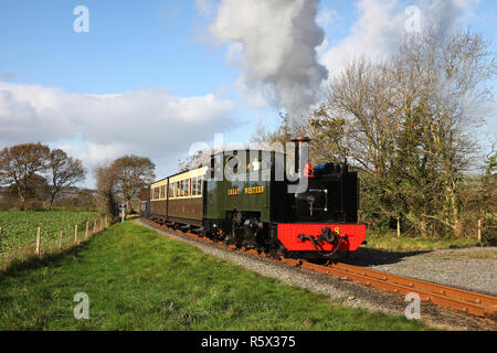 No 8 heads along the Vale of Rheidol railway at Capel Bangor. Stock Photo