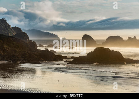 Indian Beach, evening, Ecola state park, Fall, OR, USA, by Dominique Braud/Dembinsky Photo Assoc Stock Photo