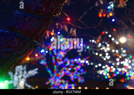 A tree in the foreground with Christmas lights on trees in the background. Stock Photo