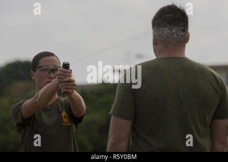 U.S. Marine Corps Cpl. Brittany Burk, non-lethal weapons instructor, with Provost Marshal’s Office, Marine Corps Base Camp Butler, conducts Oleoresin Capsaicin (OC) spray to U.S. Marines assigned temporary additional duty to Provost Marshal’s Officeas part during a Security Augmentation Force (SAF) qualification event on Camp Kinser, Okinawa, Japan, April 14, 2017. The SAF Marines are required to receive level one OC contamination in order to know how to properly function and provide security while being affected by the spray. Stock Photo