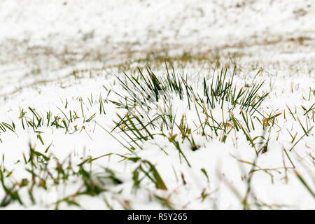 Snow-covered surface Stock Photo