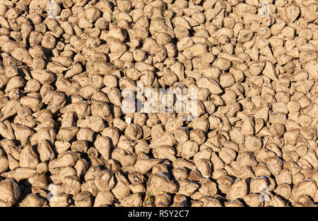 Snow-covered surface Stock Photo